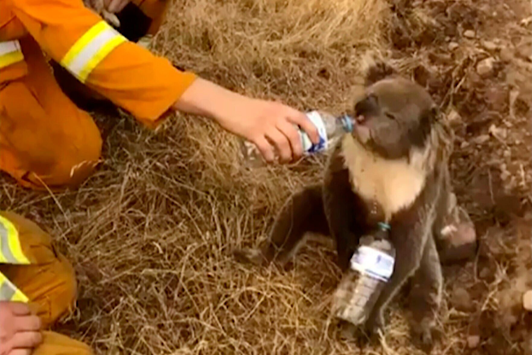 Australia Wildfires